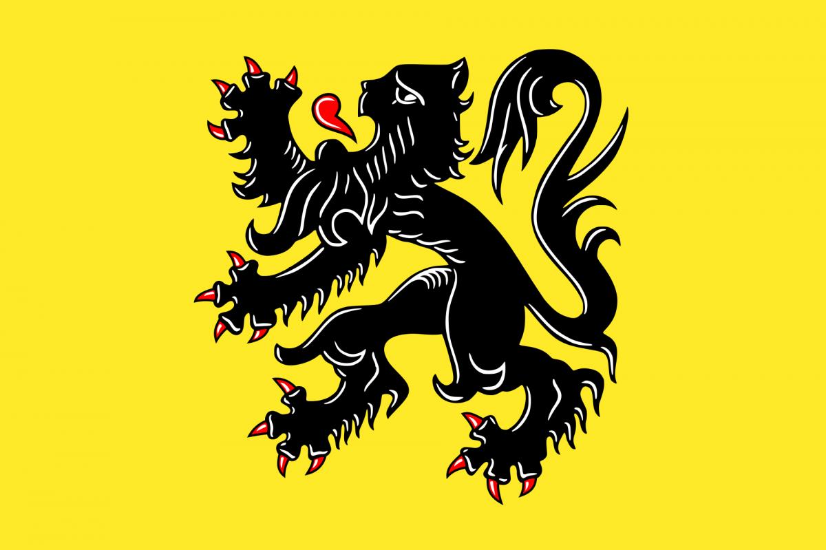 Vlag Vlaamse Gemeenschap 90X150 Cm